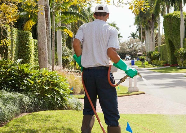 About West Union WV Pest Control